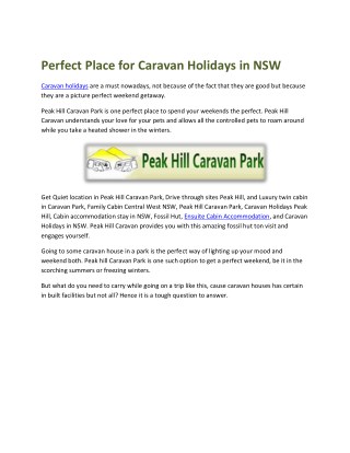 Perfect Place for Caravan Holidays in NSW