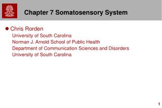 Chapter 7 Somatosensory System