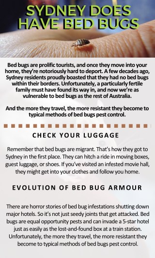 Sydney Does Have Bed Bugs