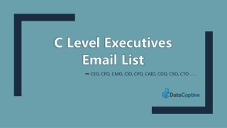 C Level executives email list - C level executives mailing list - C level Executives email database