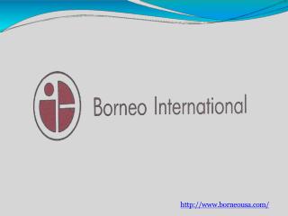 Borneo international