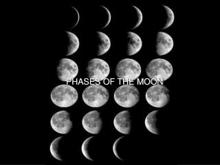 PHASES OF THE MOON