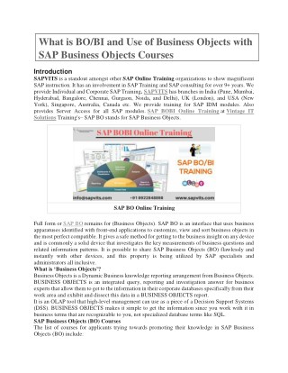 SAP C4C PDF