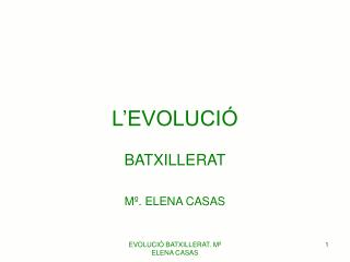 L’EVOLUCIÓ