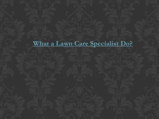 What a Lawn Care Specialist Do?