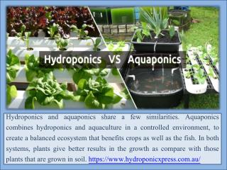 Difference Between Hydroponics and Aquaponics