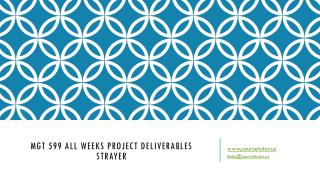 MGT 599 All Weeks Project Deliverables Strayer