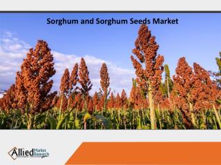 Sorghum and Sorghum Seeds Market Anticipated to Reach $10,591 Million by 2023
