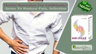 Herbal Remedies for Gallbladder Stone to Reduce Pain, Infection