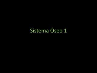 PrÃ¡ctica sobre sistema Ã³seo 1