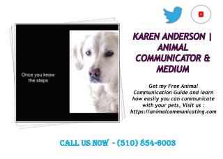 Deceased Pets & Medium, Karen Anderson