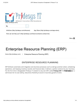 ERP Services Provider | Pridesys IT Ltd