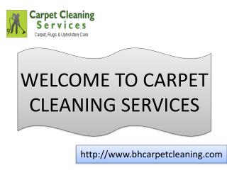 carpet cleaning ny
