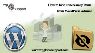 How to hide unnecessary Items from WordPress Admin?