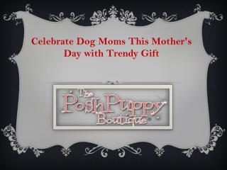 Celebrate Dog Moms This Mother's Day with Trendy Gift