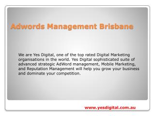 Adwords Management Brisbane