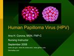 Human Papilloma Virus HPV