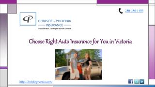 Choose Right Auto Insurance for You in Victoria