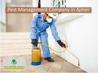 Pest Management Company in Ajmer