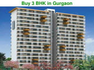 3 BHK Flats in Gurgaon