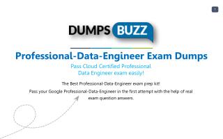 Valid Professional-Data-Engineer Exam VCE PDF New Questions