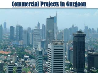 Commercial Projects in Gurgaon