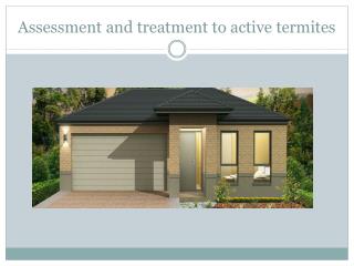 Assessment and treatment to active termites
