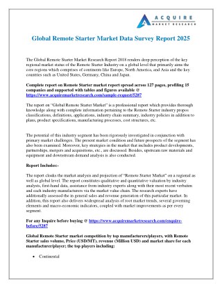 Remote Starter Industry: Global Market Size, Growth, Trends and 2025 Forecasts Report