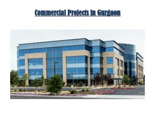Commercial Land For Sale in Gurgaon