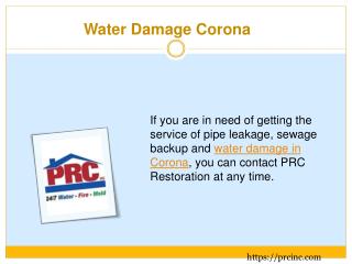 Water Damage Corona
