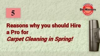 Reasons Why You Should Hire a Pro for Carpet Cleaning in Spring