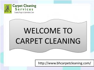 CARPET CLEANING NYC