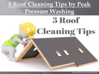 5 Roof Stain Removal Tips by Peak Pressure Washing