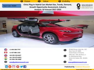China Plug-In Hybrid Cars Market Size, Trends, Demand, Growth Opportunity Assessment, Industry Analysis & Forecast 20
