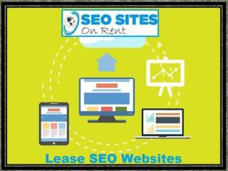 Advantages of Lease SEO Websites