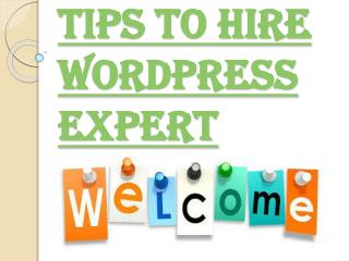Things to Kept in Mind Before you Hire Wordpress Expert
