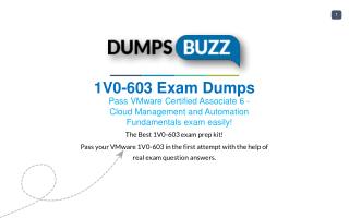 Improve Your 1V0-603 Test Score with 1V0-603 VCE test questions