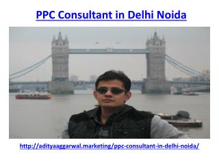 Meet the best ppc consultant in Delhi and Noida