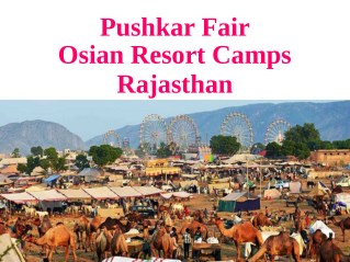 Pushkar Fair Osian Resort Camps Rajasthan