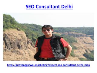 Who is seo consultant delhi