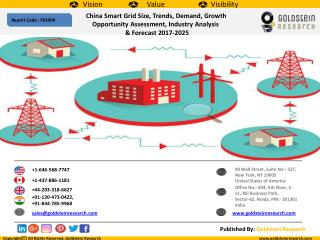 China Smart Grid Size, Trends, Demand, Growth Opportunity Assessment, Industry Analysis & Forecast 2017-2025