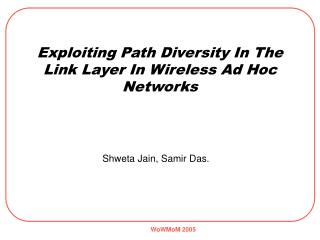 Exploiting Path Diversity In The Link Layer In Wireless Ad Hoc Networks