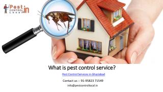 Do you have trouble for Termite and pest control in Ghaziabad?