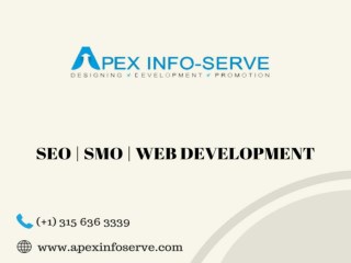 Best affordable seo company usa | Apex Info-Serve