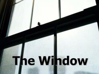 The Window