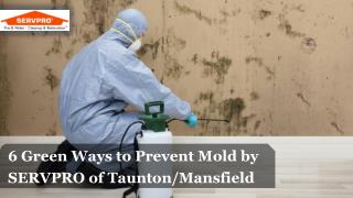 6 Green Ways to Prevent Mold