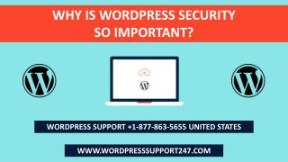 Why Is WordPress Security So Important | WordPress Support