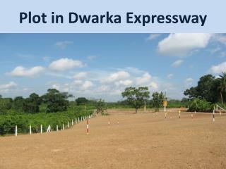 Plots For Sale in Dwarka Expressway