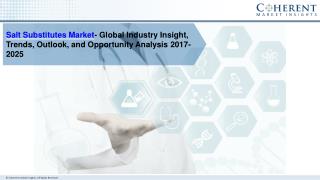 Salt Substitutes Market by Product Type, Application and by Geography - Global Trends and Forecast to 2025