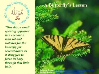 A Butterfly’s Lesson